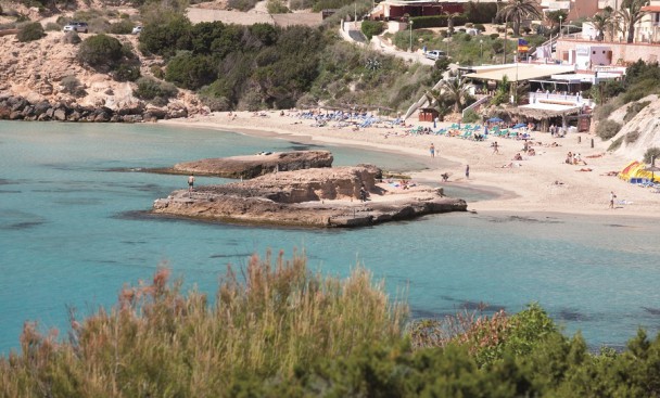 Cala Tarida